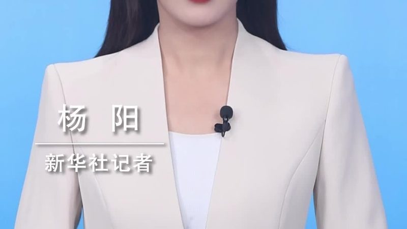 金融行业数据治理方案：优缺点解析